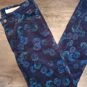 Pilcro And The Letterpress Script Black Velvet Floral Skinny Jeans